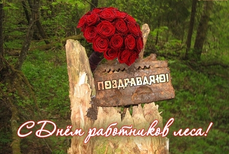 Открытки с днём работника леса с поздравлениями. Красивые открытки на день ле...