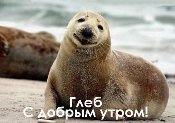 Анимационные открытки с именем Глеб. Открытки с днём рождения Глеб.