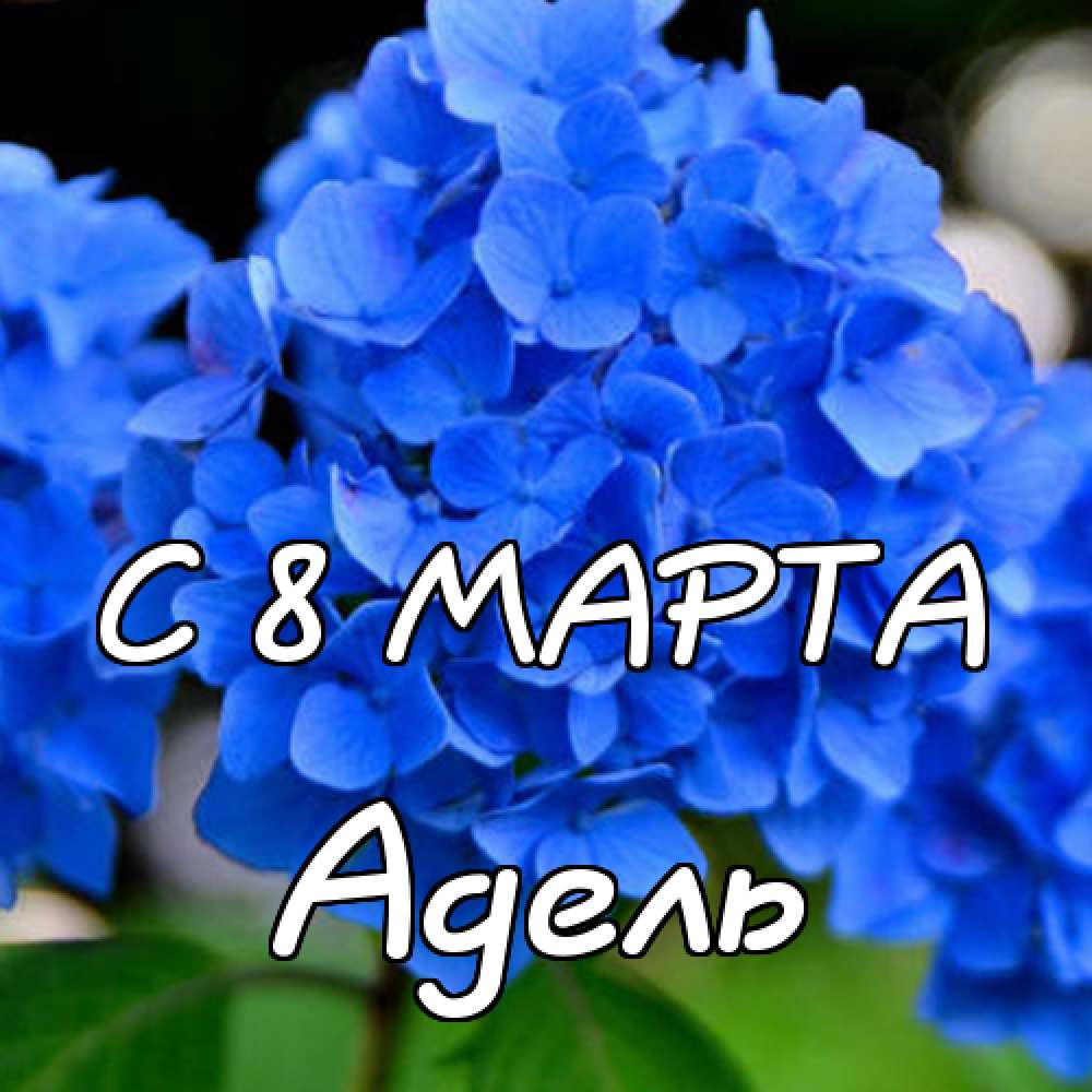 Открытки с женскими именами. Поздравительные открытки с именем Адель. Открытк...