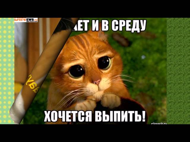 Открытки с пожеланиями отличной среды. Красивые открытки на среду.