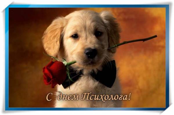 Праздничные открытки с пожеланиями на день психолога скачать бесплатно.