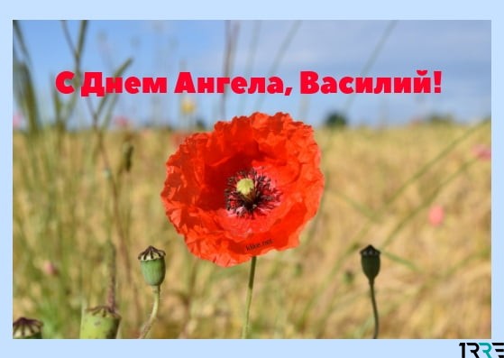 Анимационные открытки с именем Василий. Открытки с днём рождения Вася.