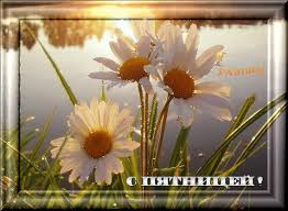 Прикольные открытки на пятницу. Открытки с пожеланиями на пятницу скачать бес...