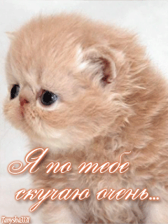 Анимационные открытки скучаю по тебе. Открытки я так скучаю скачать бесплатно.