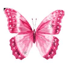 Мерцающие открытки с бабочками. Открытки с красивыми бабочками скачать беспла...