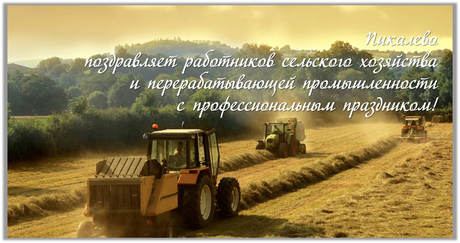 Открытки на день работников сельского хозяйства и перерабатывающей промышленн...