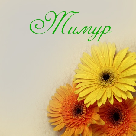 Открытки с именем Тима. С днём рождения Тимур открытки. Поздравительные Откры...