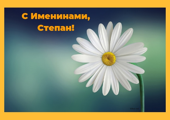 Открытки с мужскими именами. Открытки с именем Степан с поздравлениями. С днё...