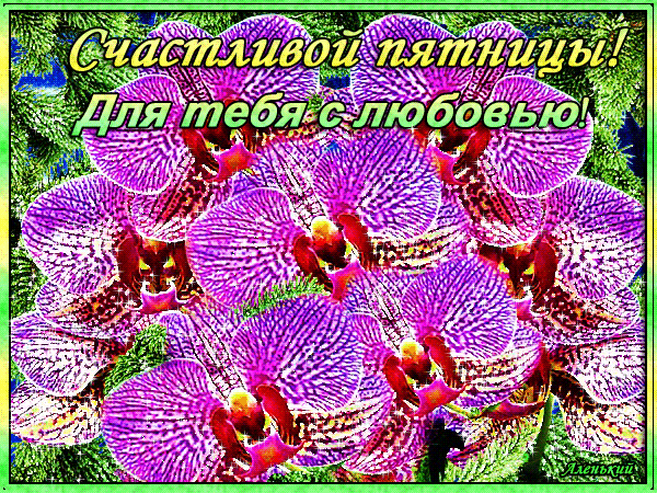 Прикольные открытки на пятницу. Открытки с пожеланиями на пятницу скачать бес...