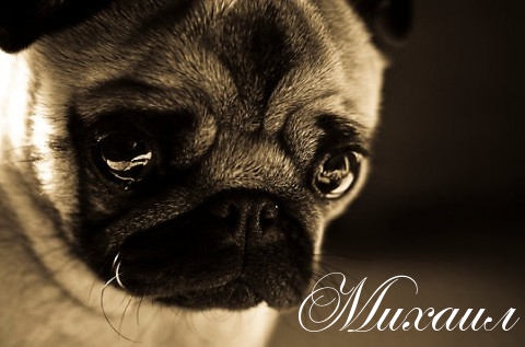 Скачать бесплатно открытки с мужскими именами. С днём рождения Михаил открытк...