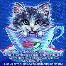 Открытка с пожеланиями доброго утра на каждый день скачать бесплатно 