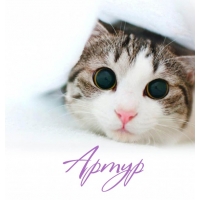 Открытки я люблю тебя Артур. Скачать бесплатно открытки с именем Артур. 