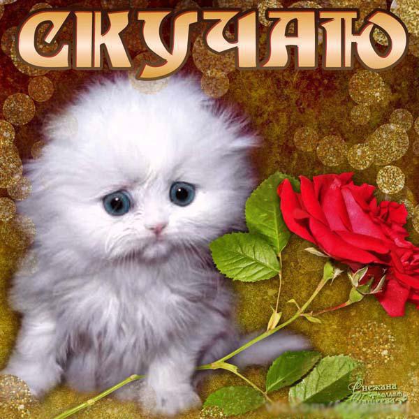 Анимационные открытки скучаю по тебе. Открытки я так скучаю скачать бесплатно.