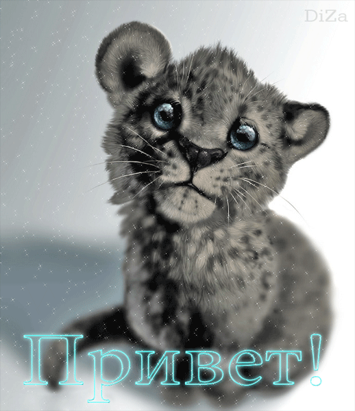 Красивые анимационные открытки с различными приветствиями скачать бесплатно.