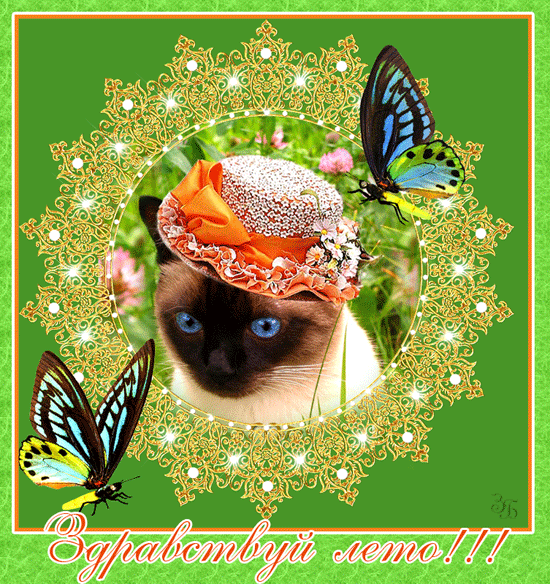 Открытки с первым днем лета скачать бесплатно. Поздравления с началом лета.