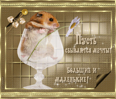 Открытки с пожеланиями исполнения желаний. Открытки пусть сбудутся мечты.