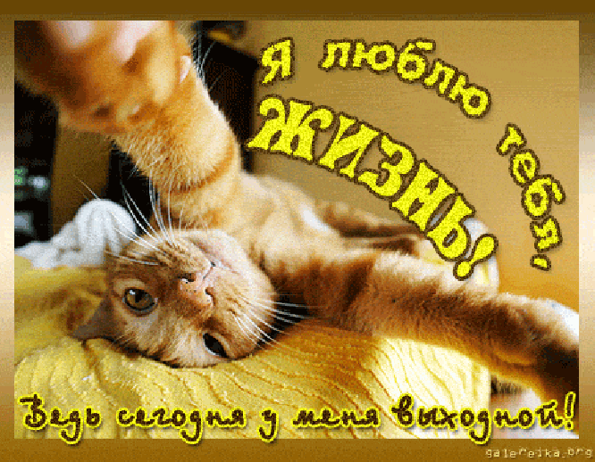 Красивые открытки замечательных выходных. Открытки хороших выходных скачать б...