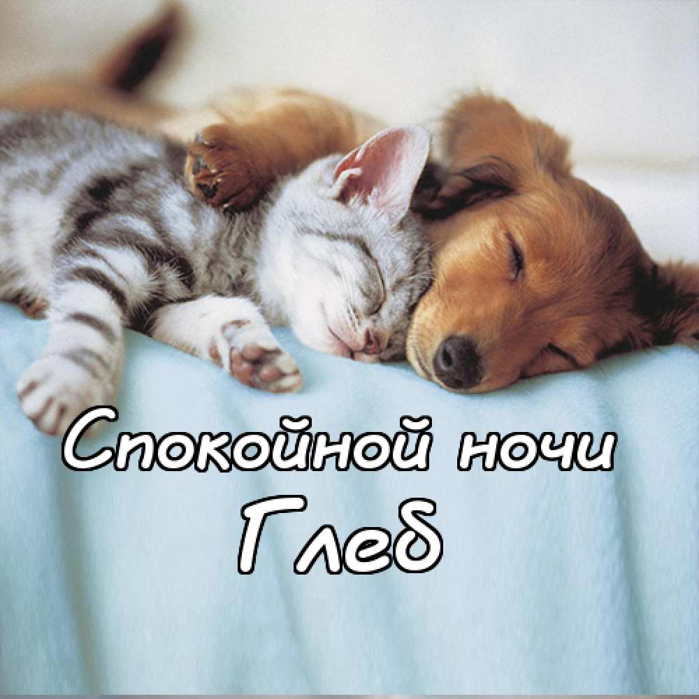 Анимационные открытки с именем Глеб. Открытки с днём рождения Глеб.