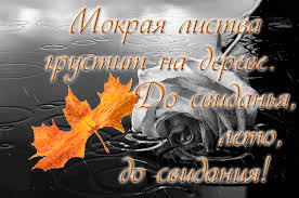 Открытки с первым днем лета скачать бесплатно. Поздравления с началом лета.