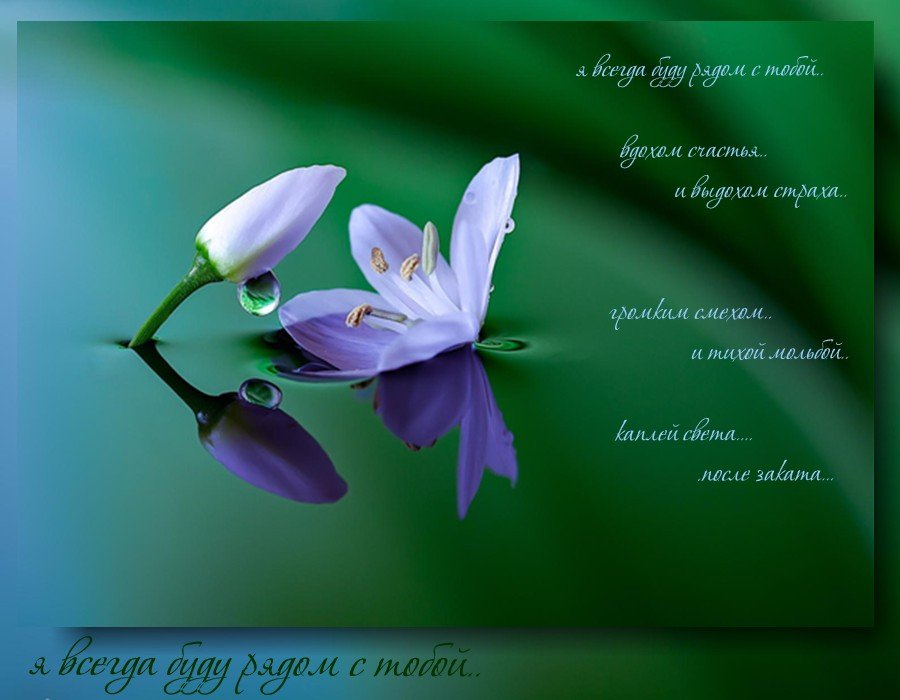 Открытки я всегда буду рядом. Открытки Открытки я рядом с тобой скачать беспл...