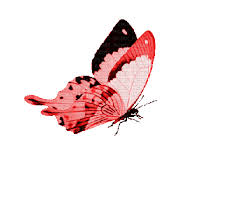 Мерцающие открытки с бабочками. Открытки с красивыми бабочками скачать беспла...