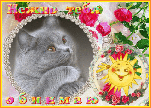 Открытки хочу тебя обнять. Открытки крепко обнимаю скачать бесплатно.