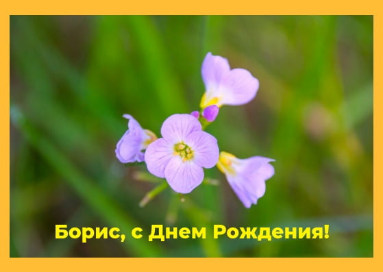 Открытки с днём рождения Борис. Красивые открытки с мужскими именами.