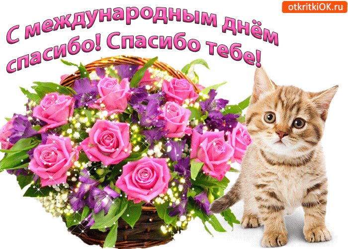 Благодарственные открытки на день спасибо скачать бесплатно.