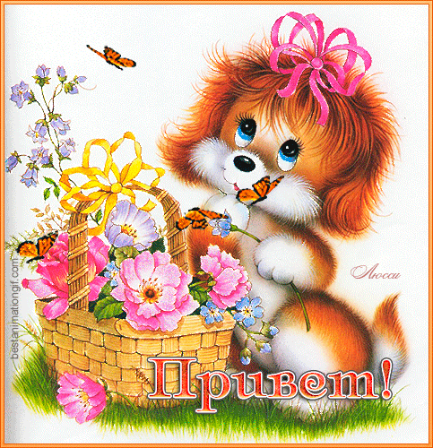 Красивые анимационные открытки с различными приветствиями скачать бесплатно.