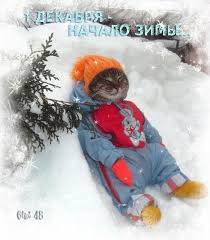 Мерцающие анимационные открытки с пожеланиями на первый день зимы