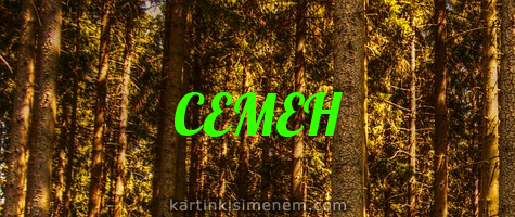 Открытки с именем Семён скачать бесплатно. С днём рождения Семён открытки.