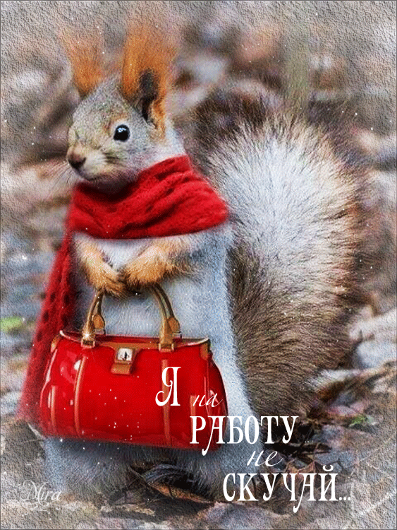 Веселые открытки с приколами не скучай скачать бесплатно.    