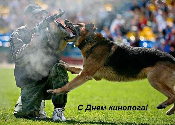 Открытки с пожеланиями на день кинолога скачать бесплатно.    