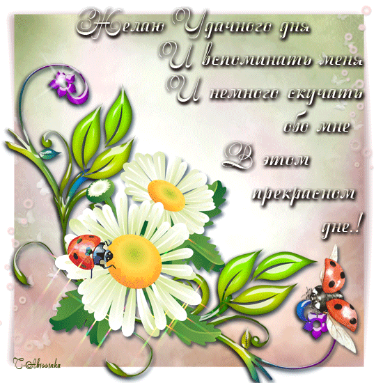 Открытки с пожеланиями хорошего дня. Скачать бесплатно открытки удачного дня.