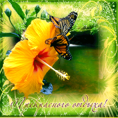 Скачать бесплатно открытки хорошего лета. Открытки с пожеланиями хорошего лета.