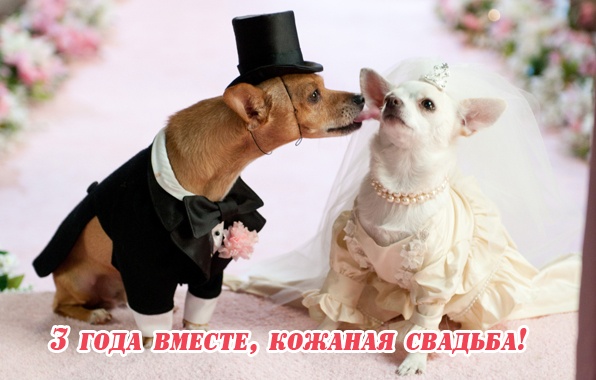 Поздравительные открытки на Кожаную свадьбу 3 года. Открытки с пожеланиями на...