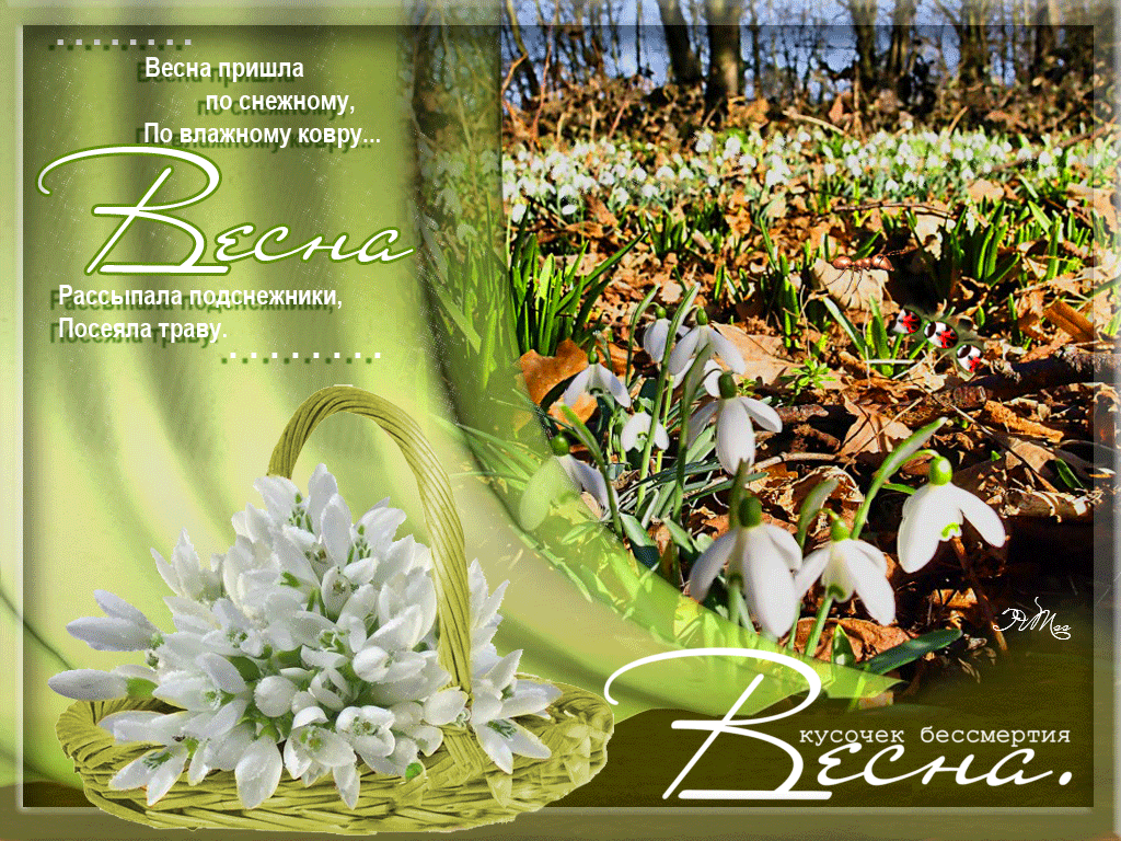 Красивые мерцающие открытки на весеннюю тематику. Скачать бесплатно открытки ...