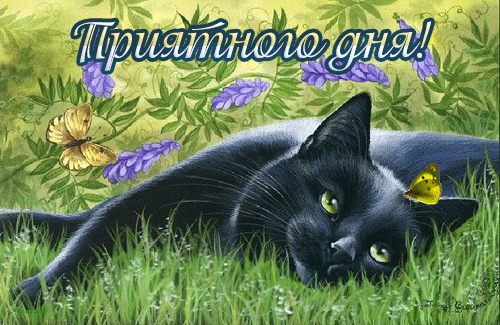 Открытки с пожеланиями хорошего дня. Скачать бесплатно открытки удачного дня.