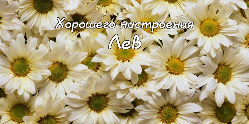 Поздравительные открытки с именем Лев. Открытки с мужскими именами. Открытки ...