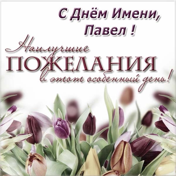 Анимационные открытки с именем Павел. Открытки с именем Паша. С днём рождения...