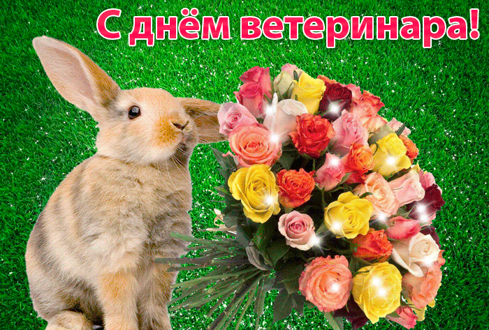 Поздравительные открытки с днем ветеринара скачать бесплатно.