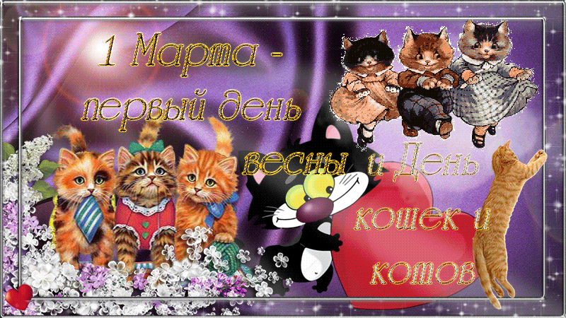 Скачать бесплатно прикольные открытки с днем кошек. Открытки с днем кошек gif.