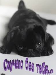 Анимационные открытки скучаю по тебе. Открытки я так скучаю скачать бесплатно.