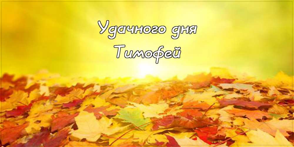 Анимационные открытки с именем Тимофей. Открытки с мужскими именами с поздрав...