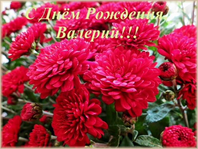 Открытки с днём рождения Валера. Поздравительные открытки с мужскими именами.