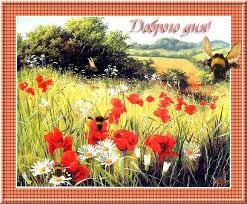 Открытки с пожеланиями хорошего дня. Скачать бесплатно открытки удачного дня.