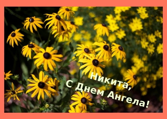 Поздравительные открытки с именем Никита. Красивые открытки с именем Никита. 