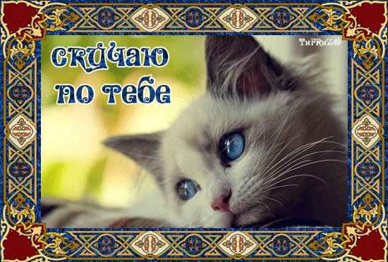Анимационные открытки скучаю по тебе. Открытки я так скучаю скачать бесплатно.