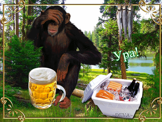 Прикольные открытки на пятницу. Открытки с пожеланиями на пятницу скачать бес...