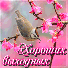 Красивые открытки замечательных выходных. Открытки хороших выходных скачать б...